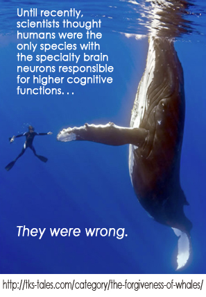 Whale-and-Man-and-Forgiveness